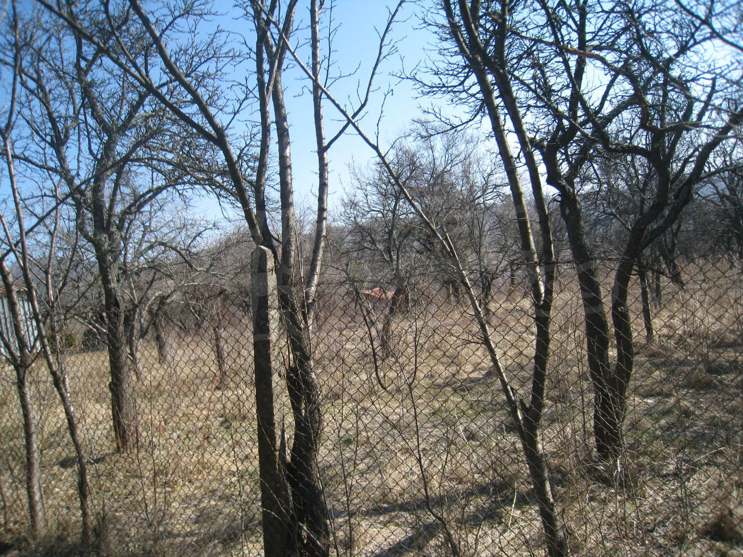 Gallery Picture 21