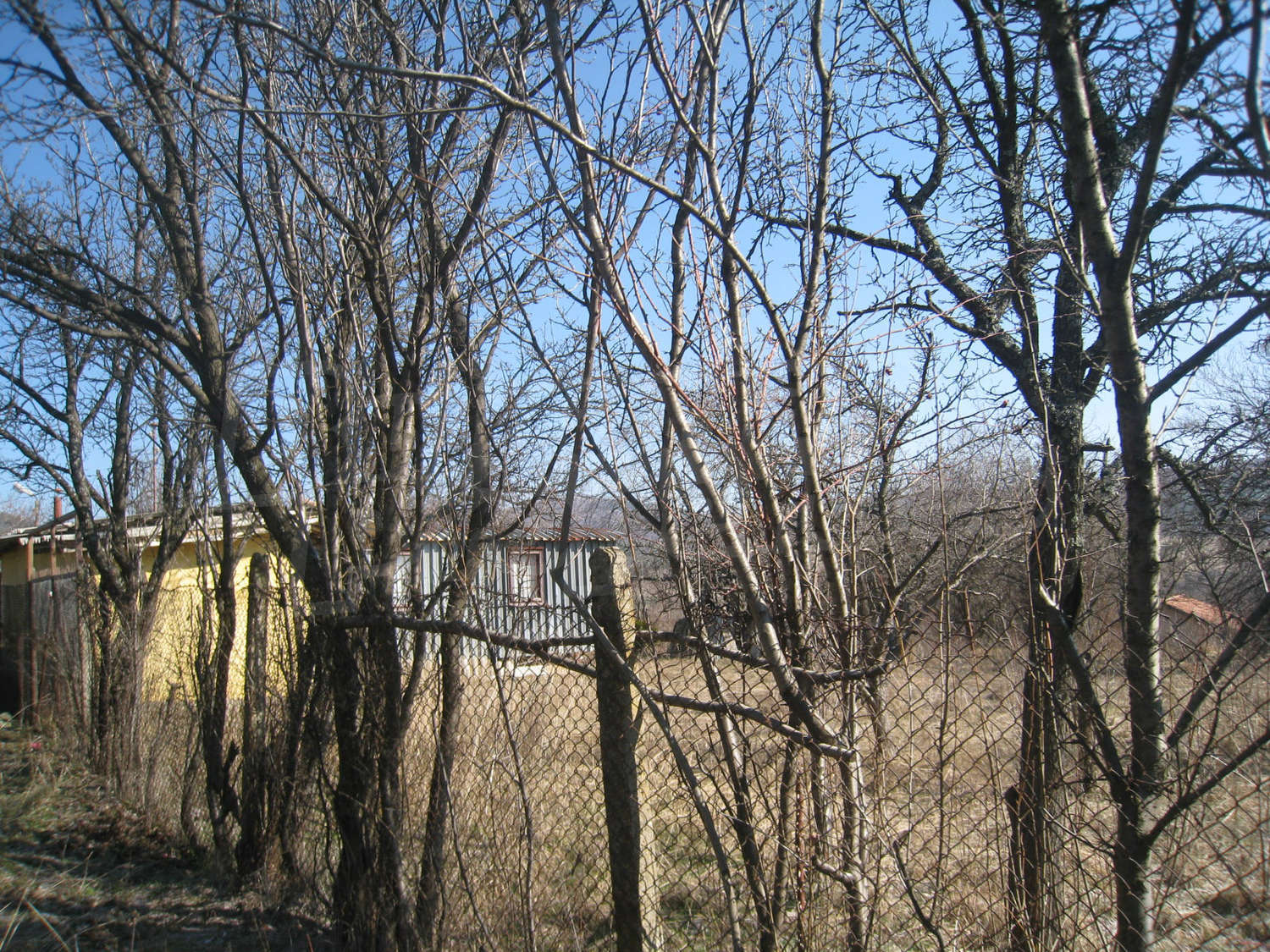 Gallery Picture 23