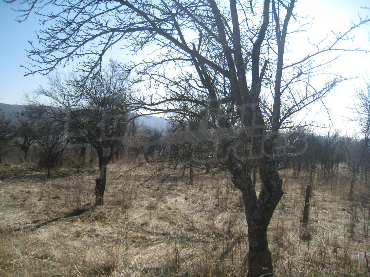 Gallery Picture 24