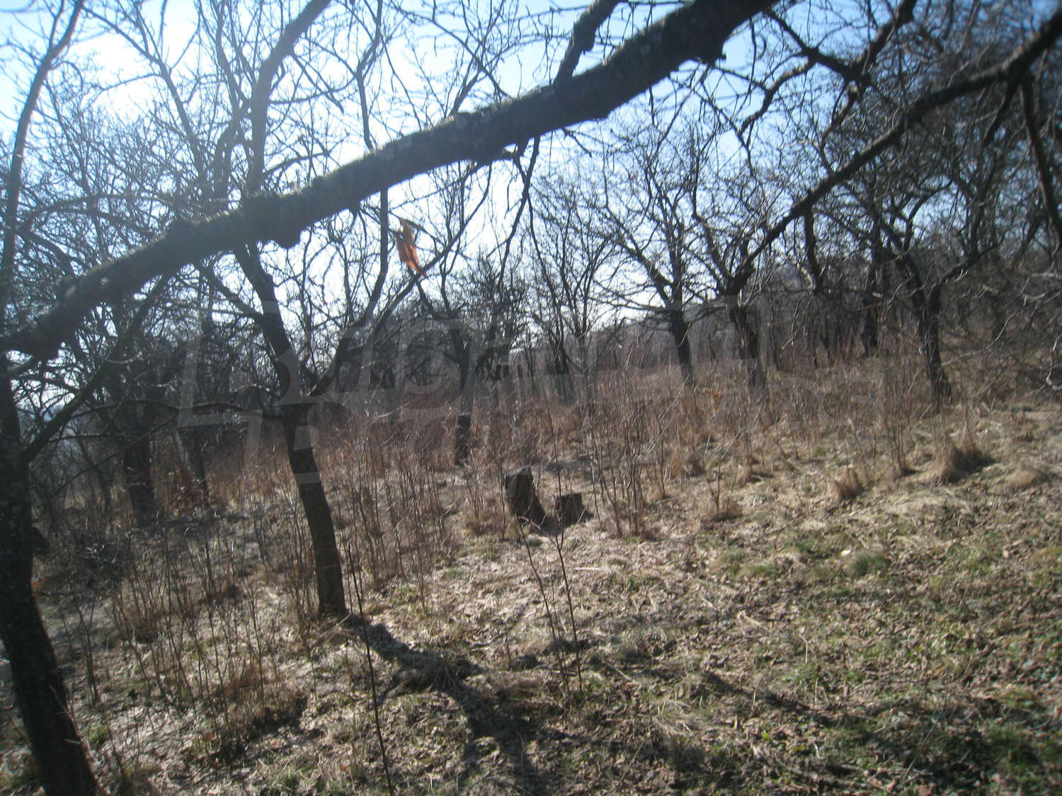 Gallery Picture 26