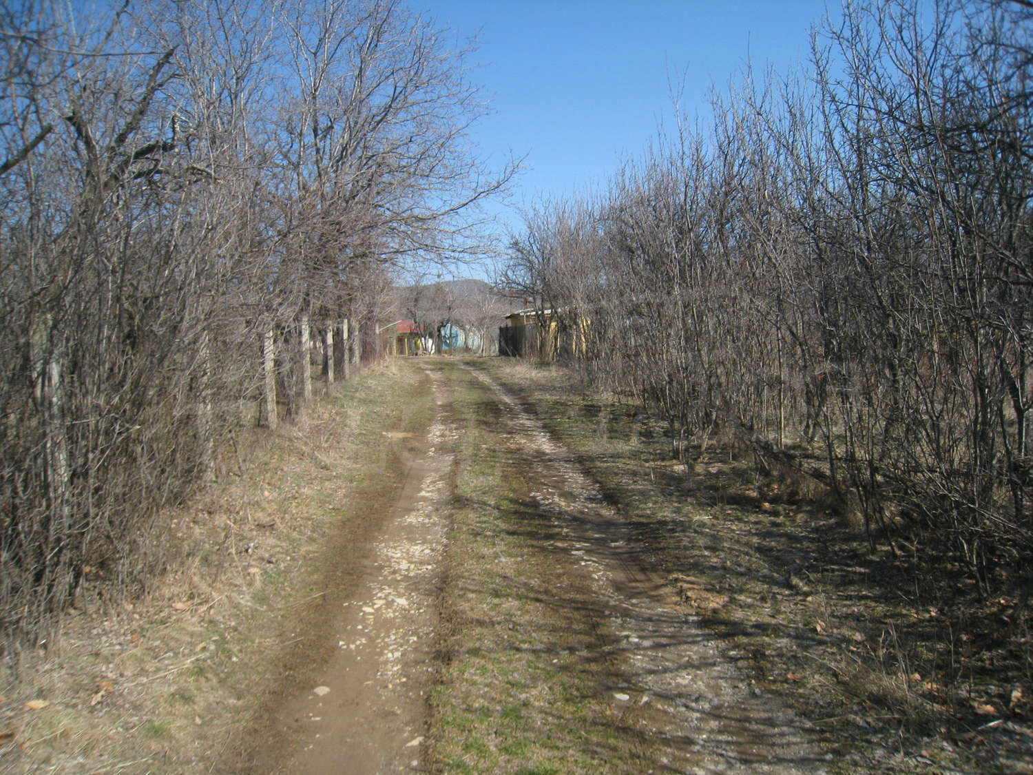 Gallery Picture 28