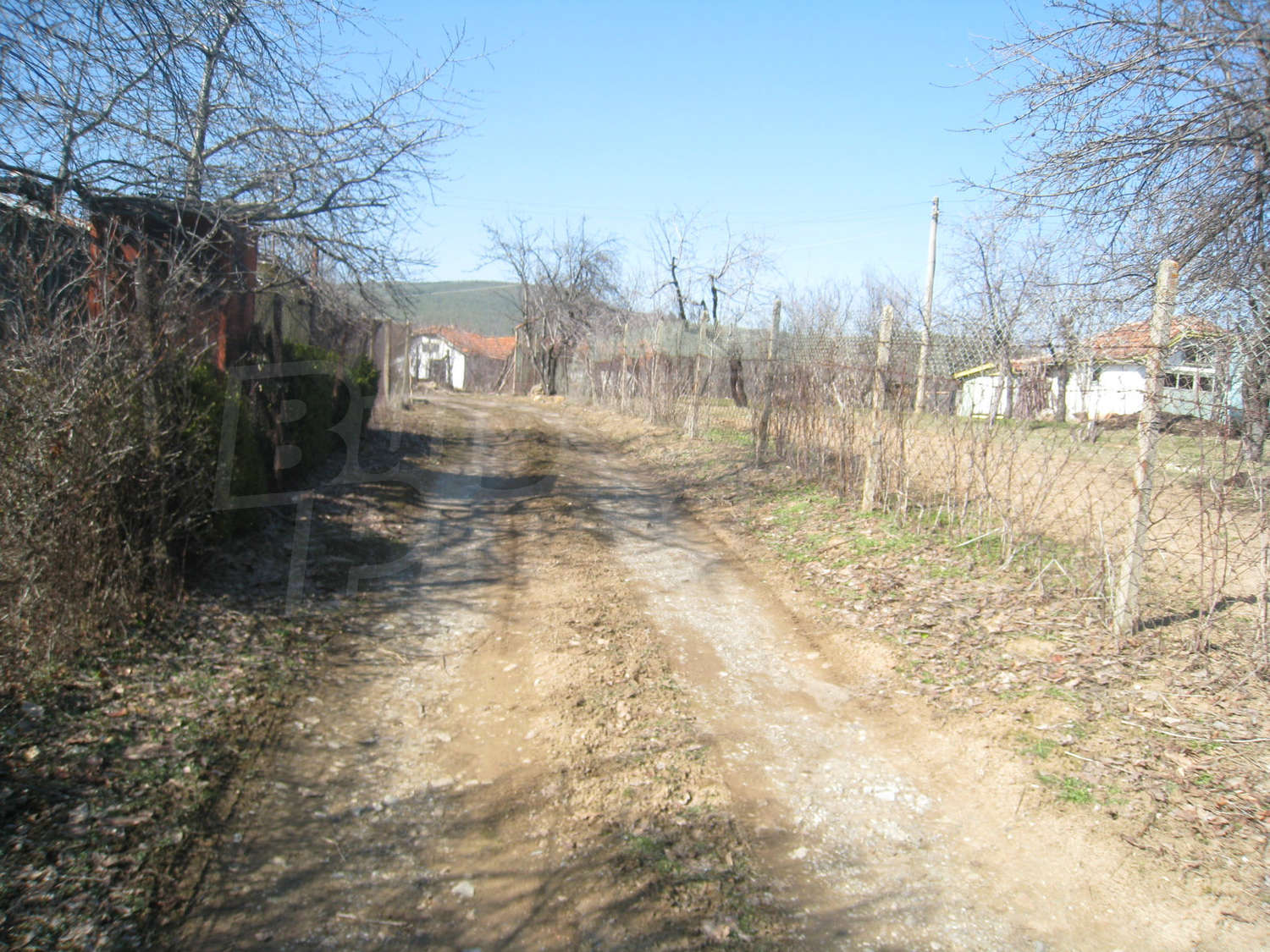 Gallery Picture 29