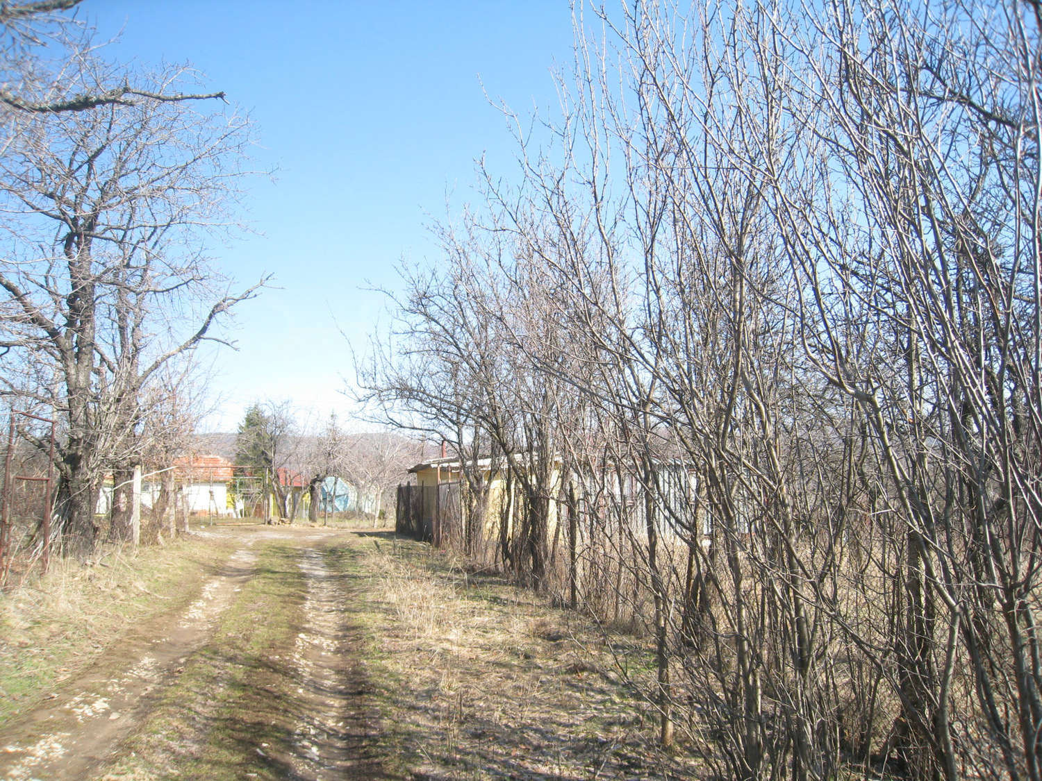 Gallery Picture 30