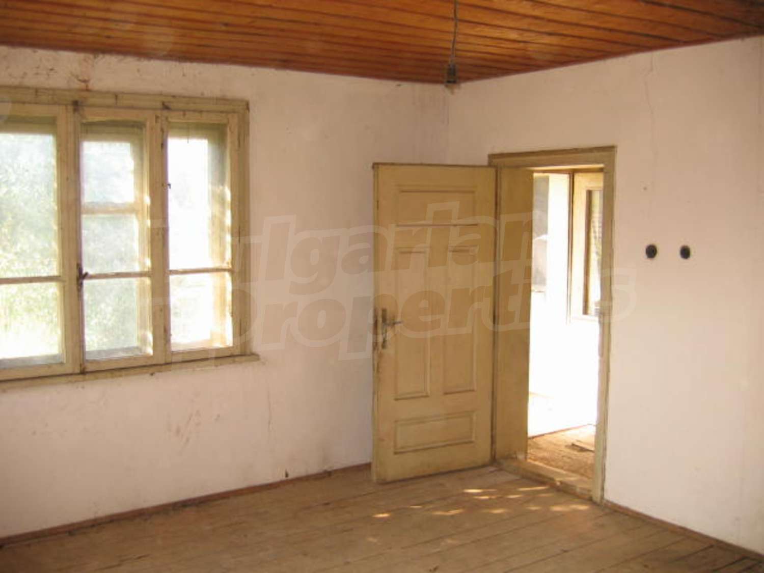 Gallery Picture 23