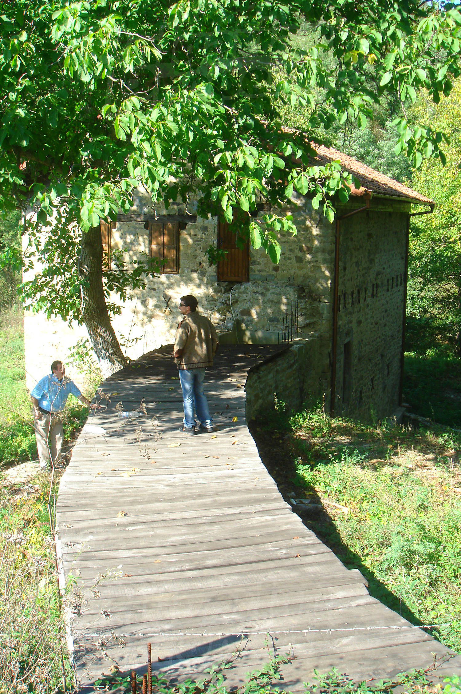 Gallery Picture 18