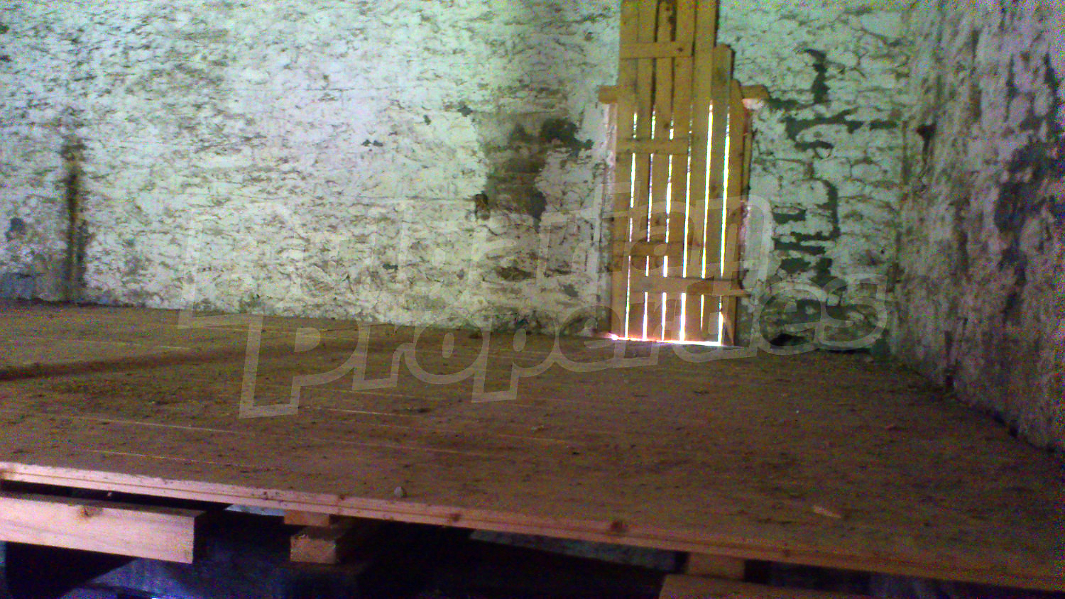 Gallery Picture 24
