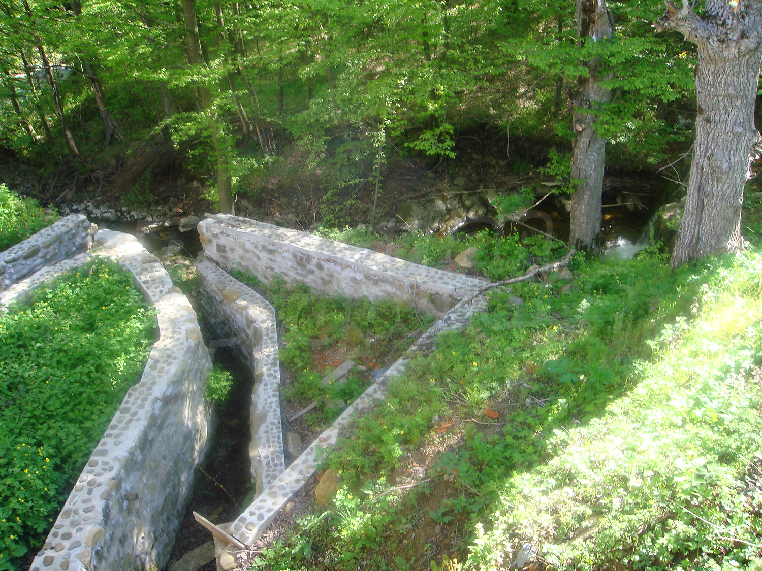 Gallery Picture 6