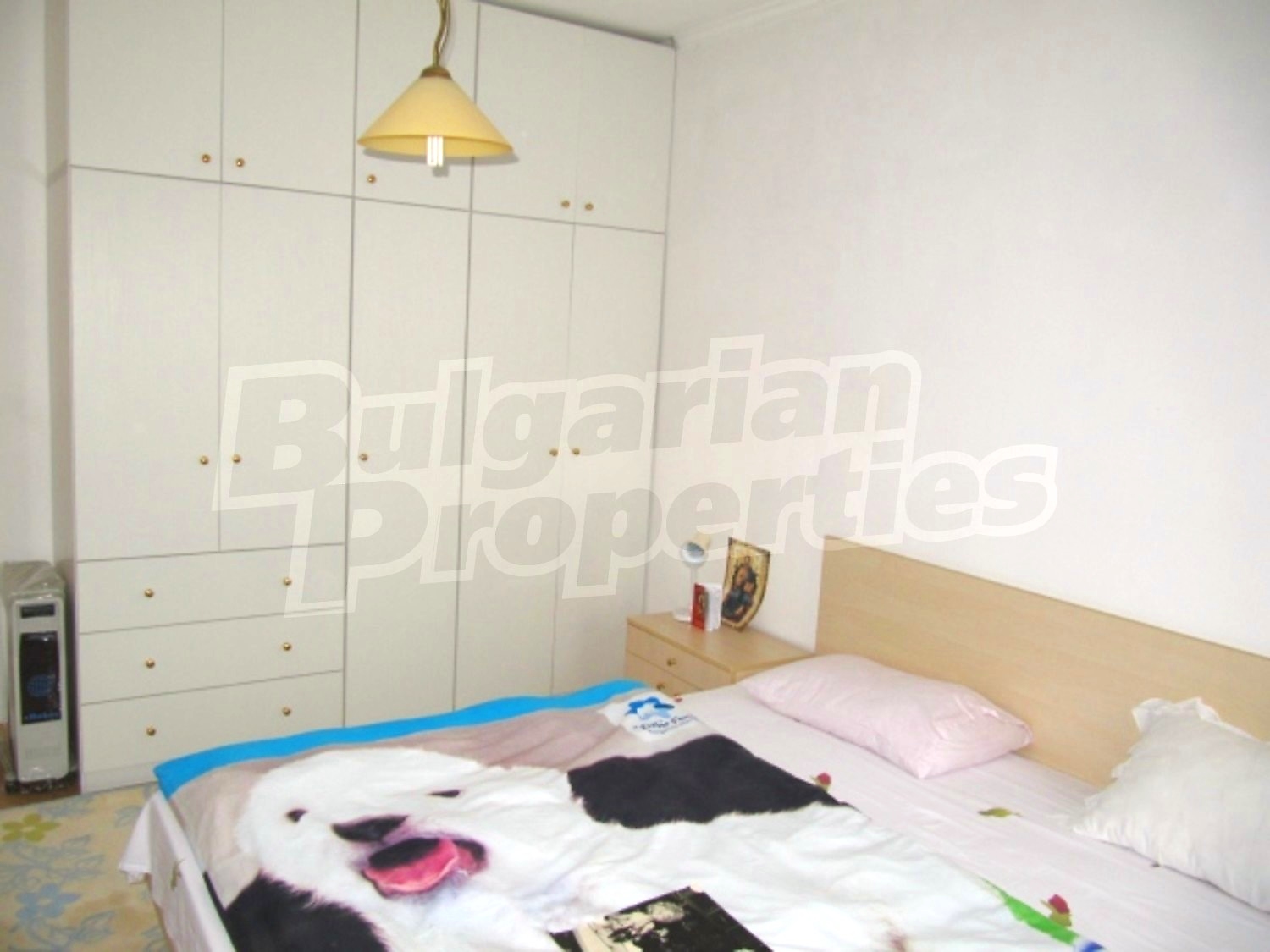 Gallery Picture 12
