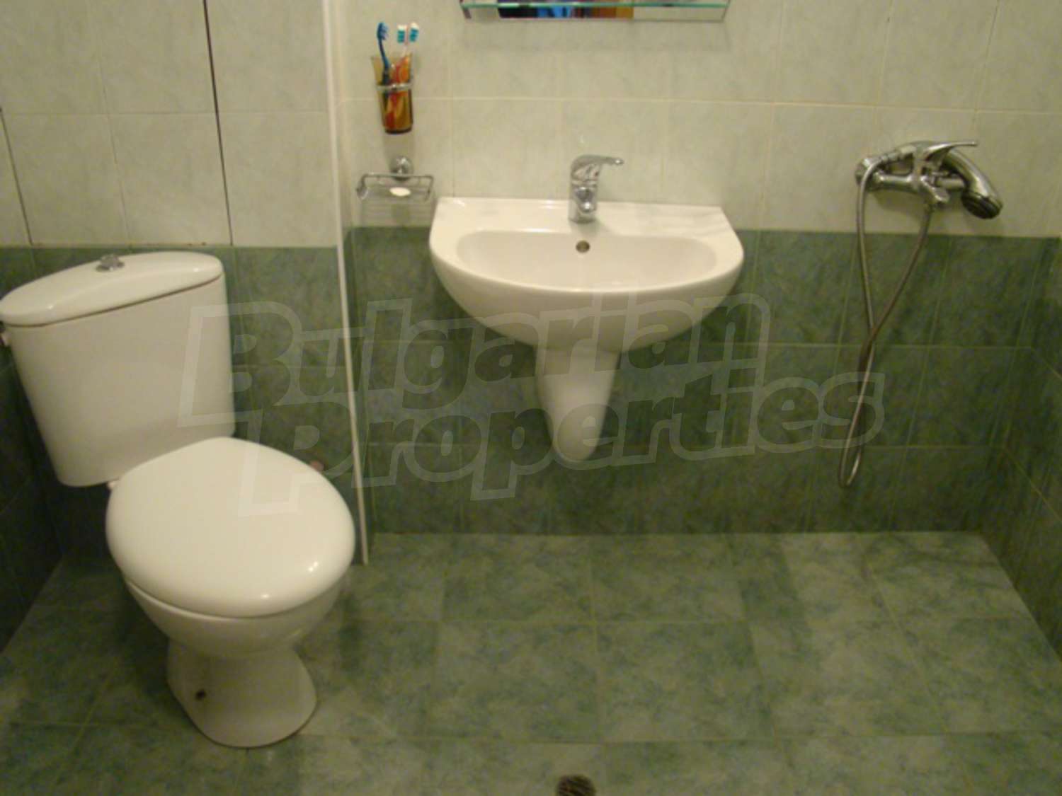 Gallery Picture 12