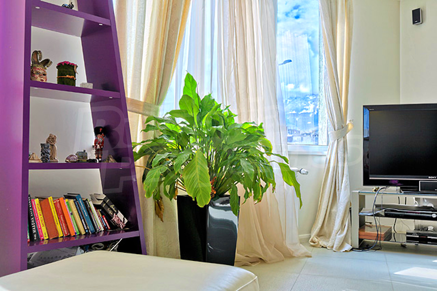 Gallery Picture 11