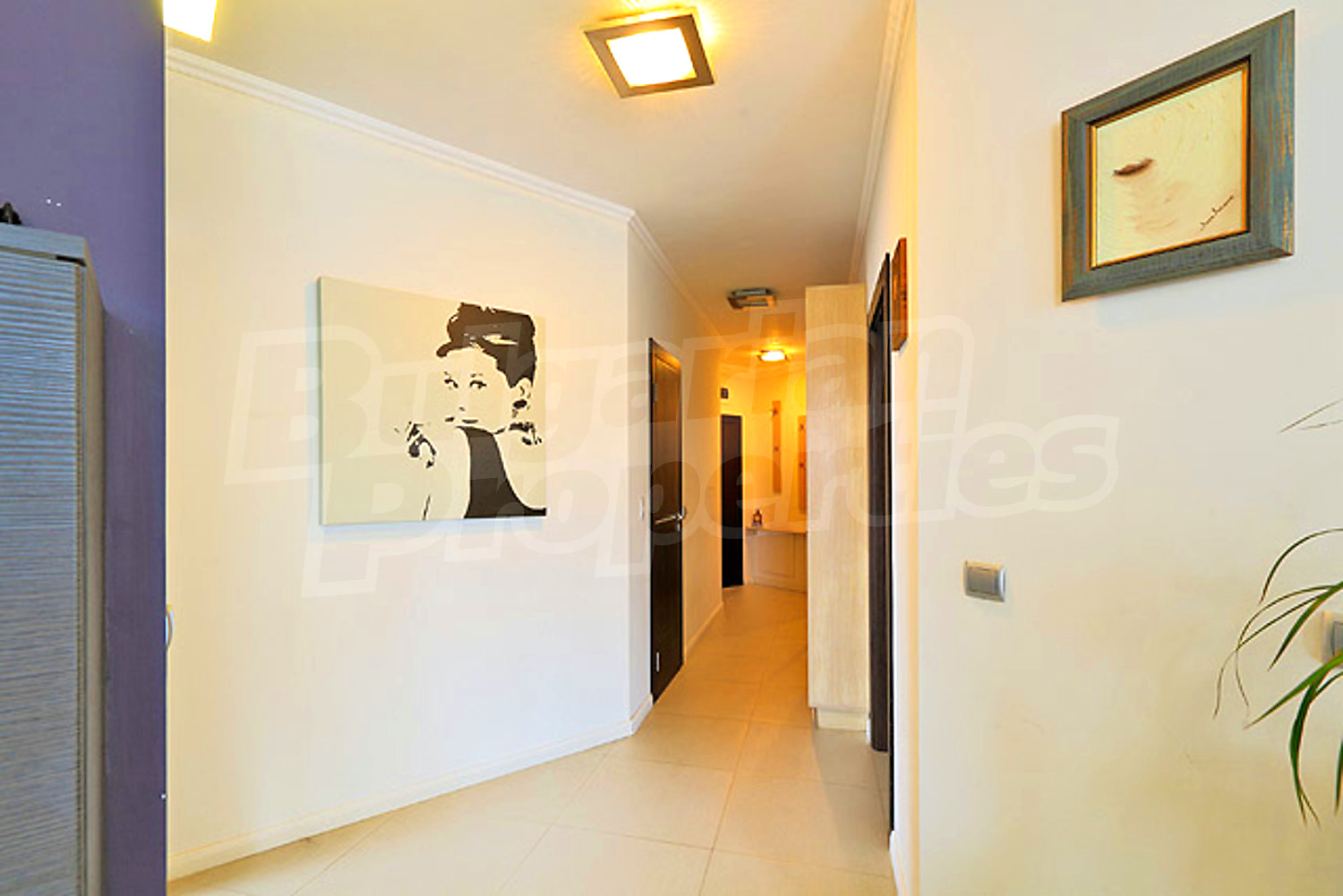 Gallery Picture 16
