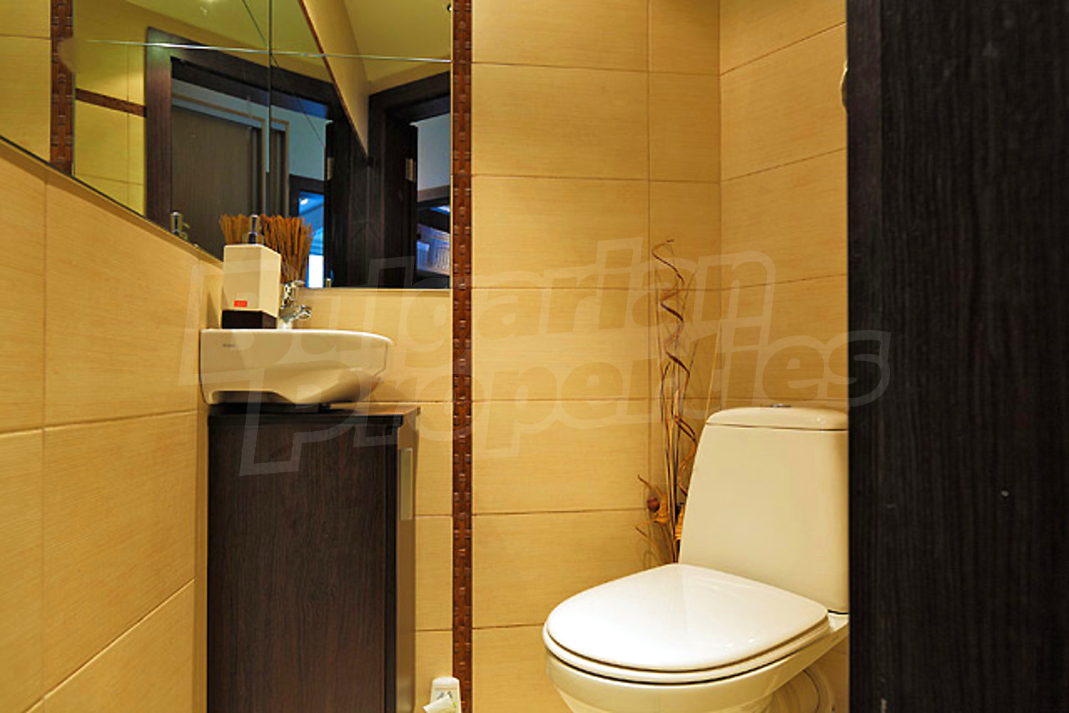 Gallery Picture 26