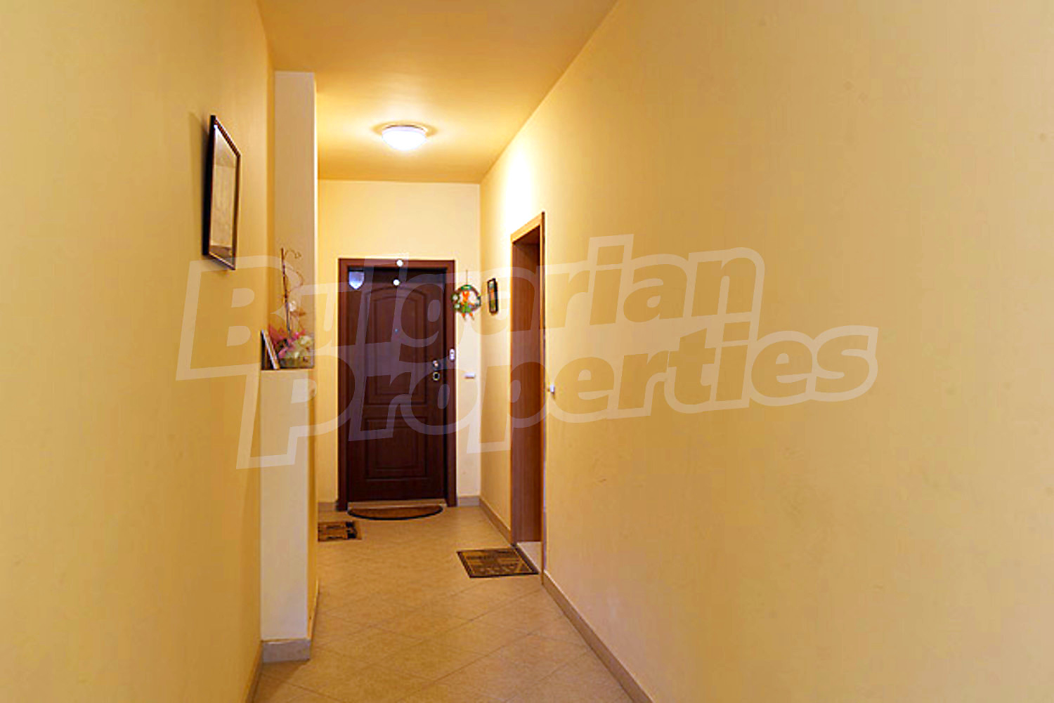 Gallery Picture 27