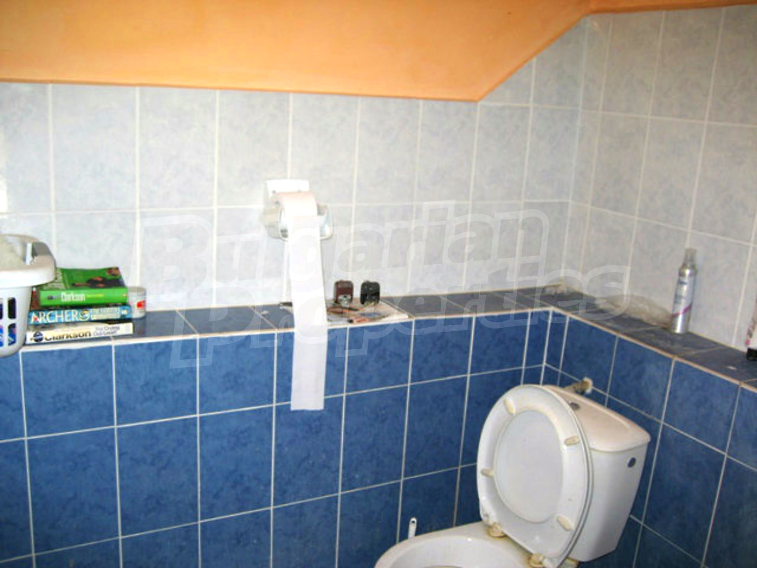 Gallery Picture 28