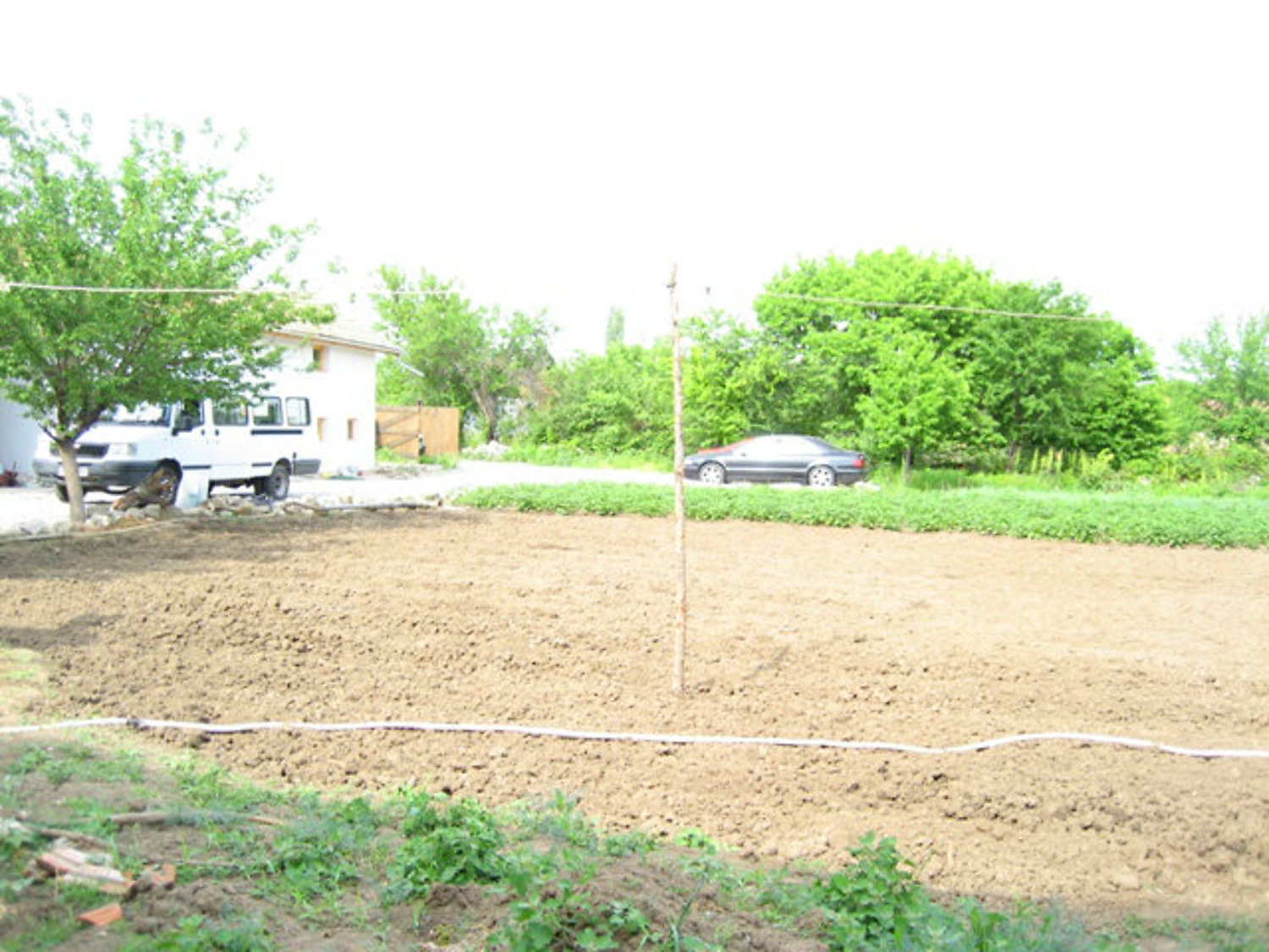 Gallery Picture 33