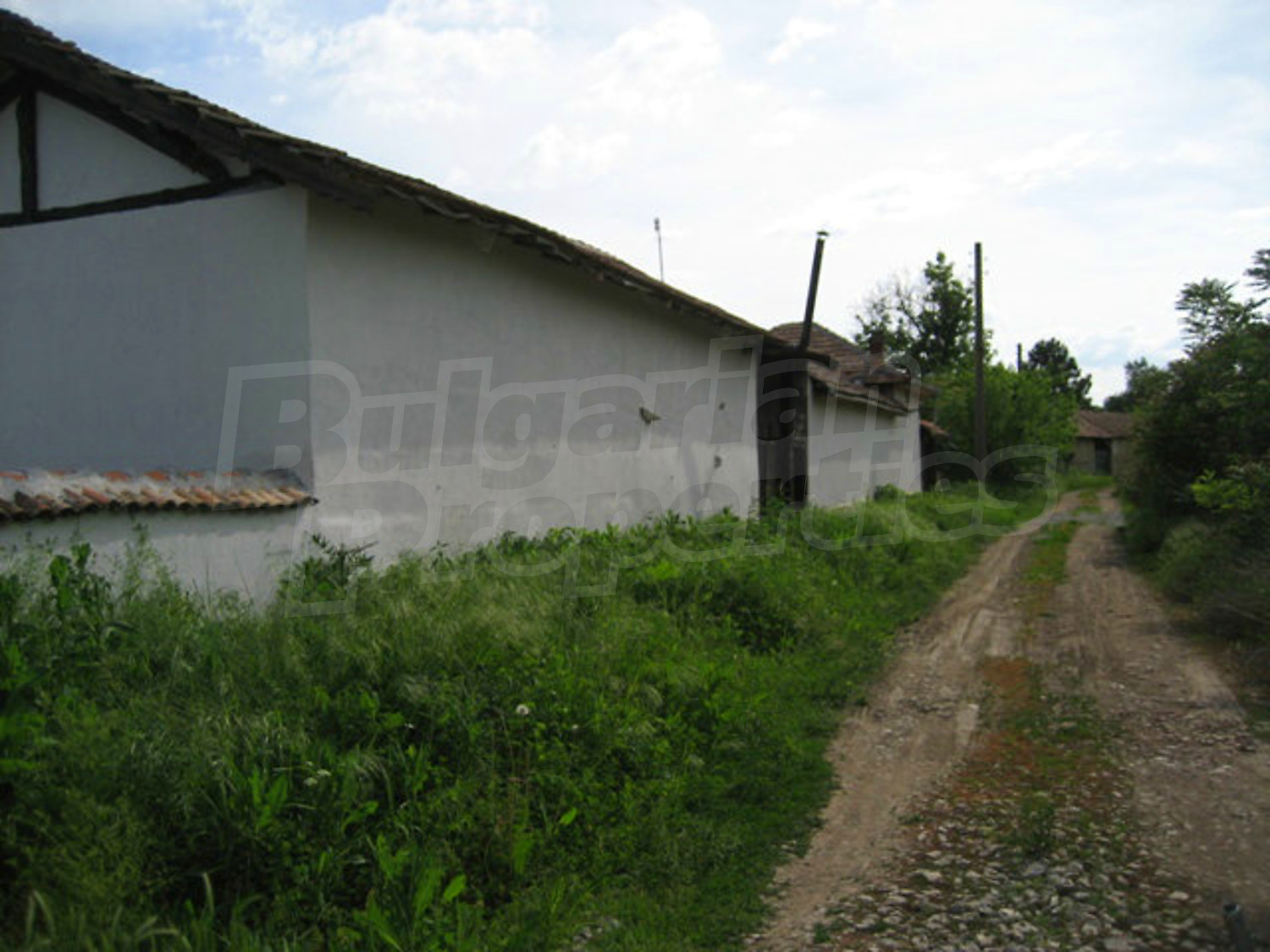 Gallery Picture 35