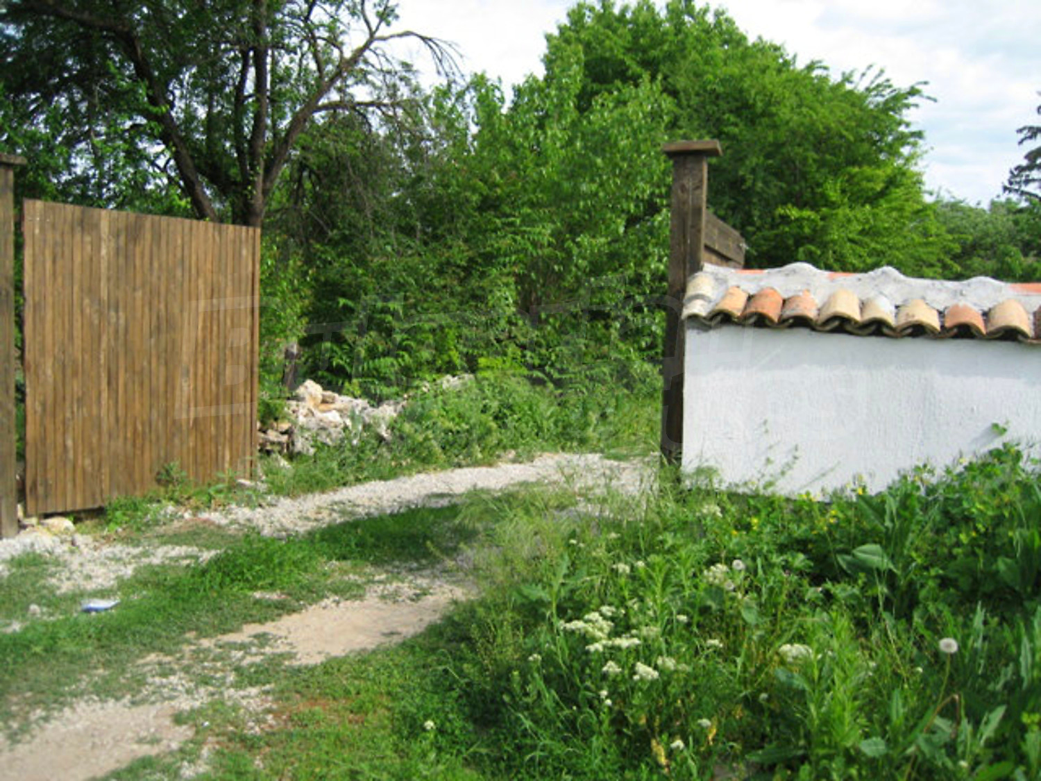 Gallery Picture 36