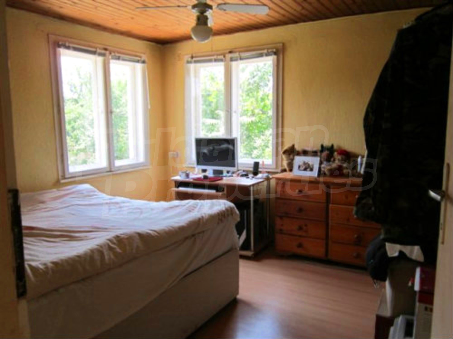 Gallery Picture 43