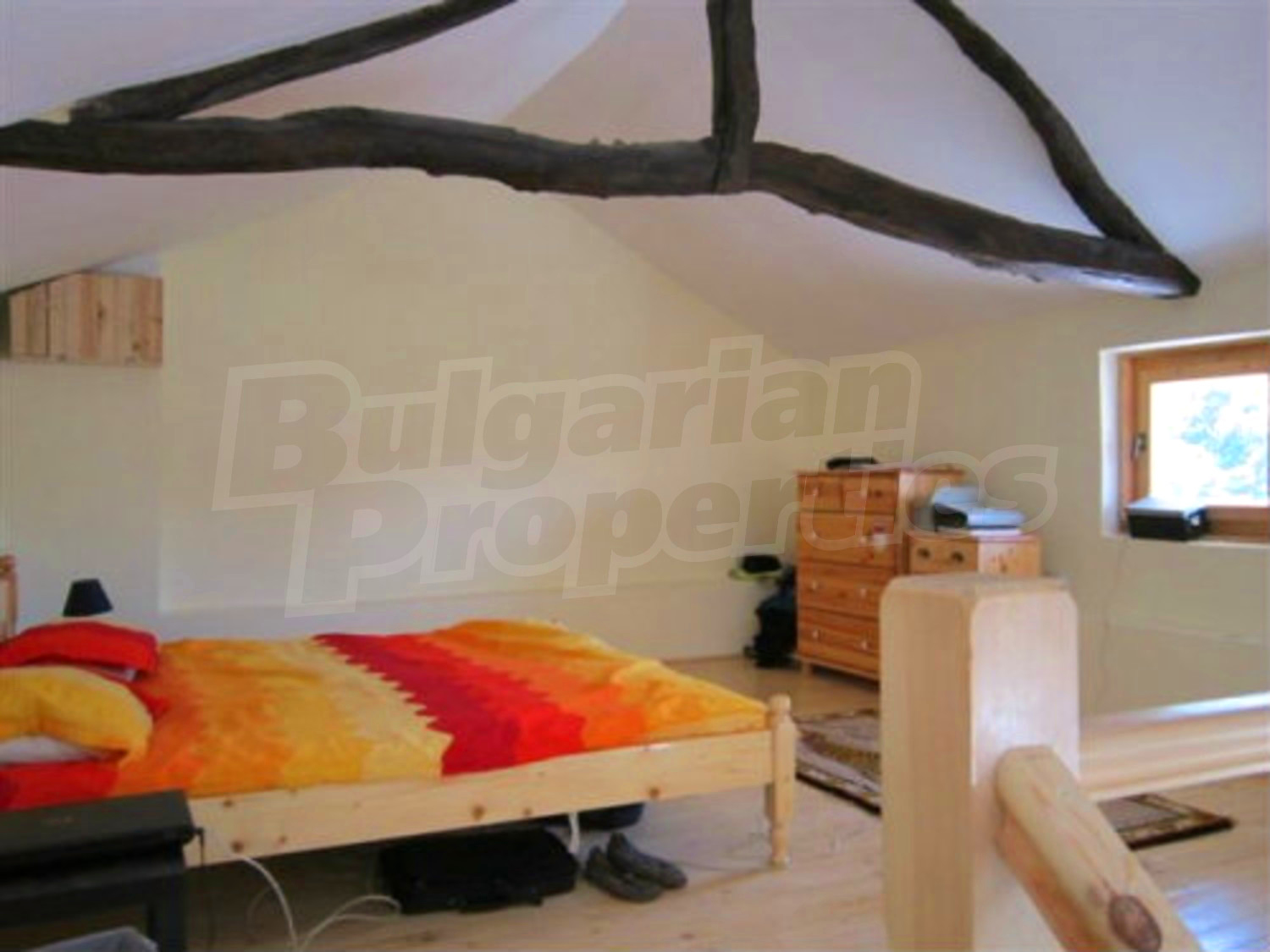 Gallery Picture 49