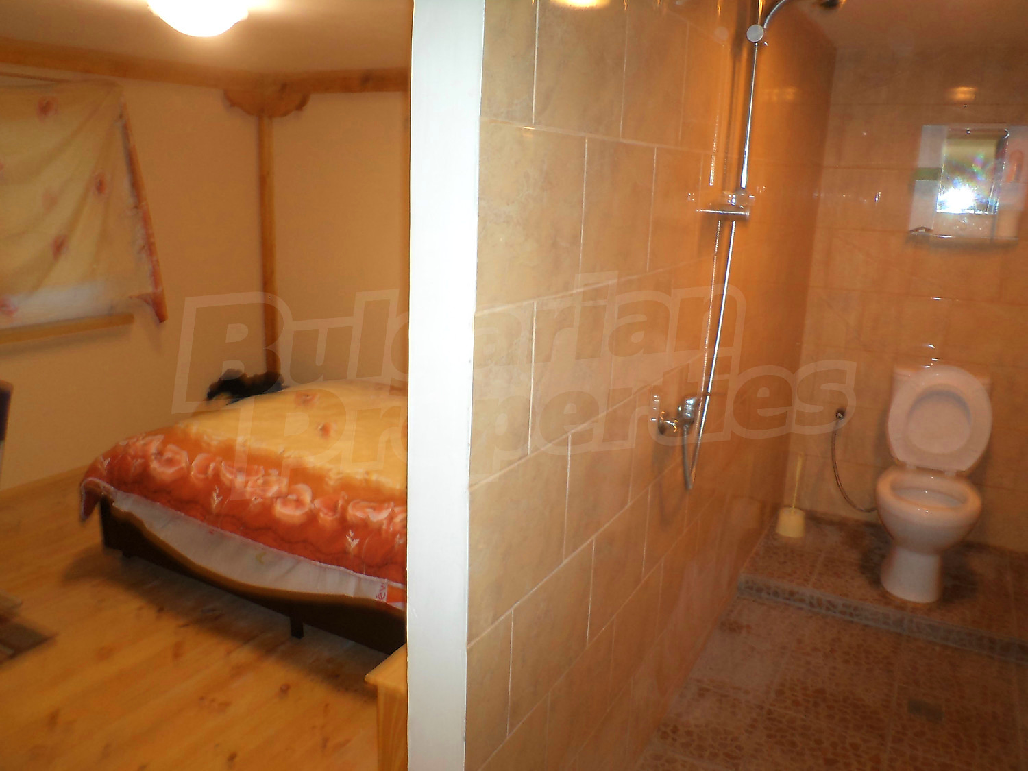 Gallery Picture 58