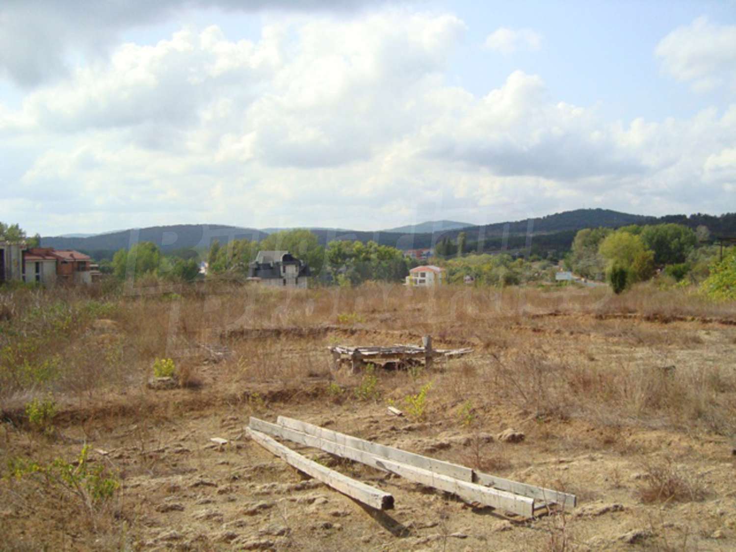 Gallery Picture 11