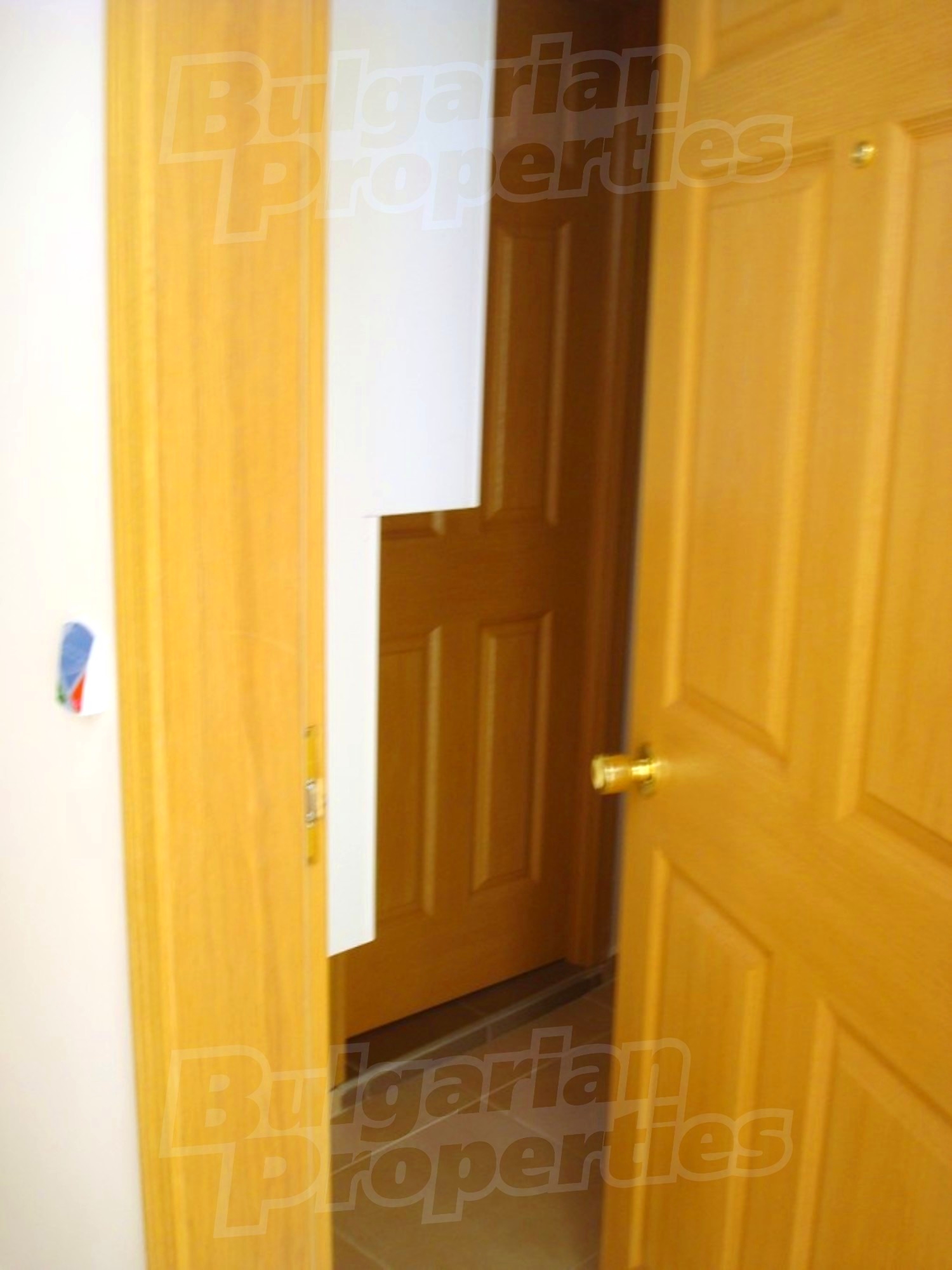 Gallery Picture 22