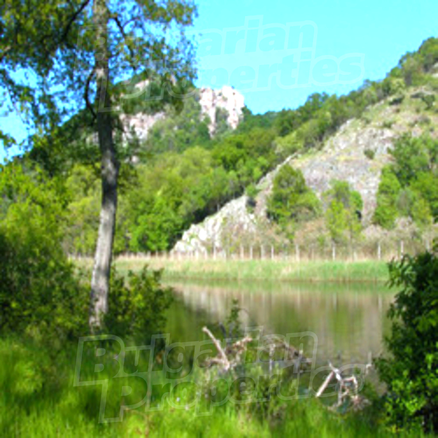 Gallery Picture 60