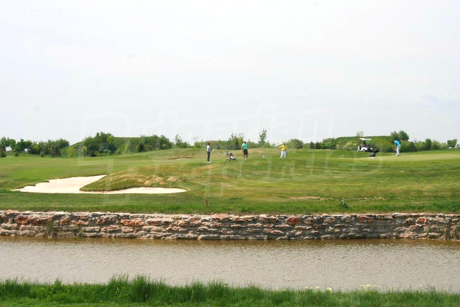 Gallery Picture 24