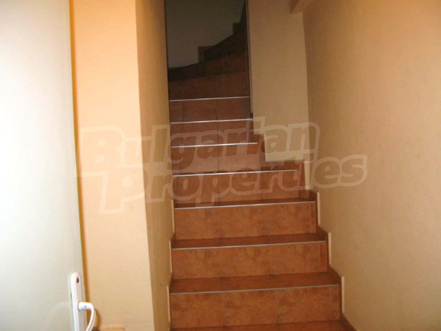 Gallery Picture 33