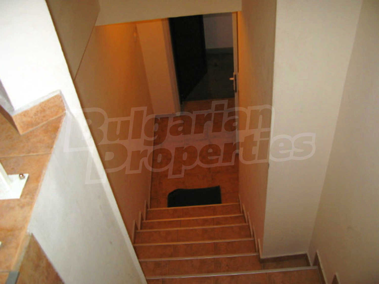 Gallery Picture 34