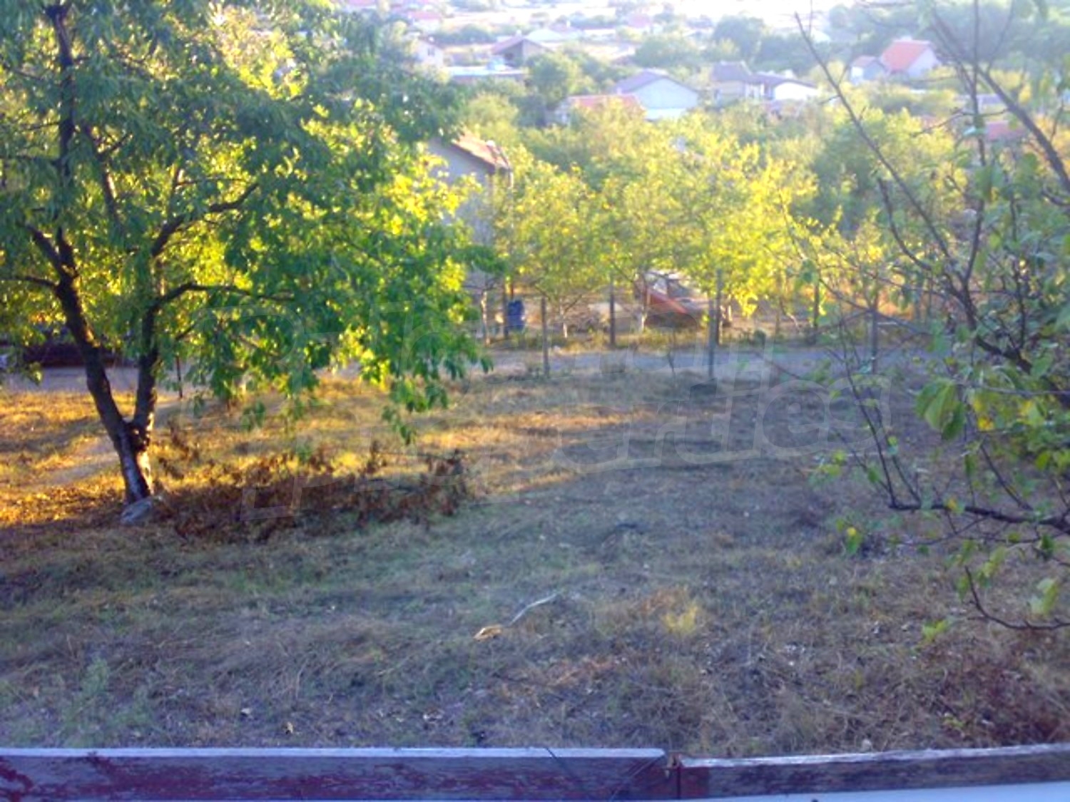 Gallery Picture 2