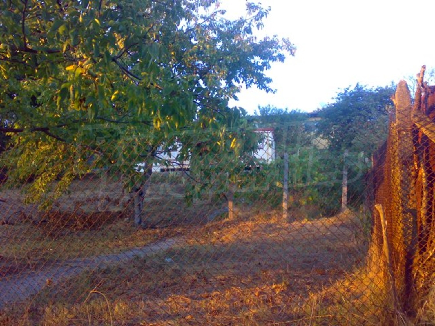 Gallery Picture 4