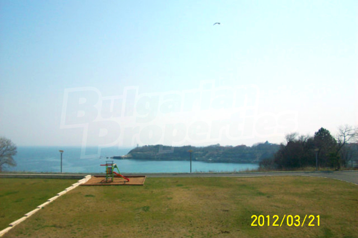 Gallery Picture 24