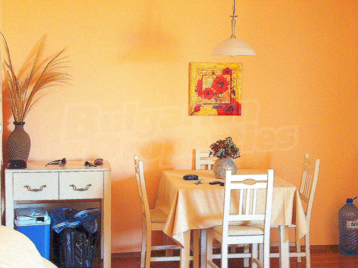 Gallery Picture 14