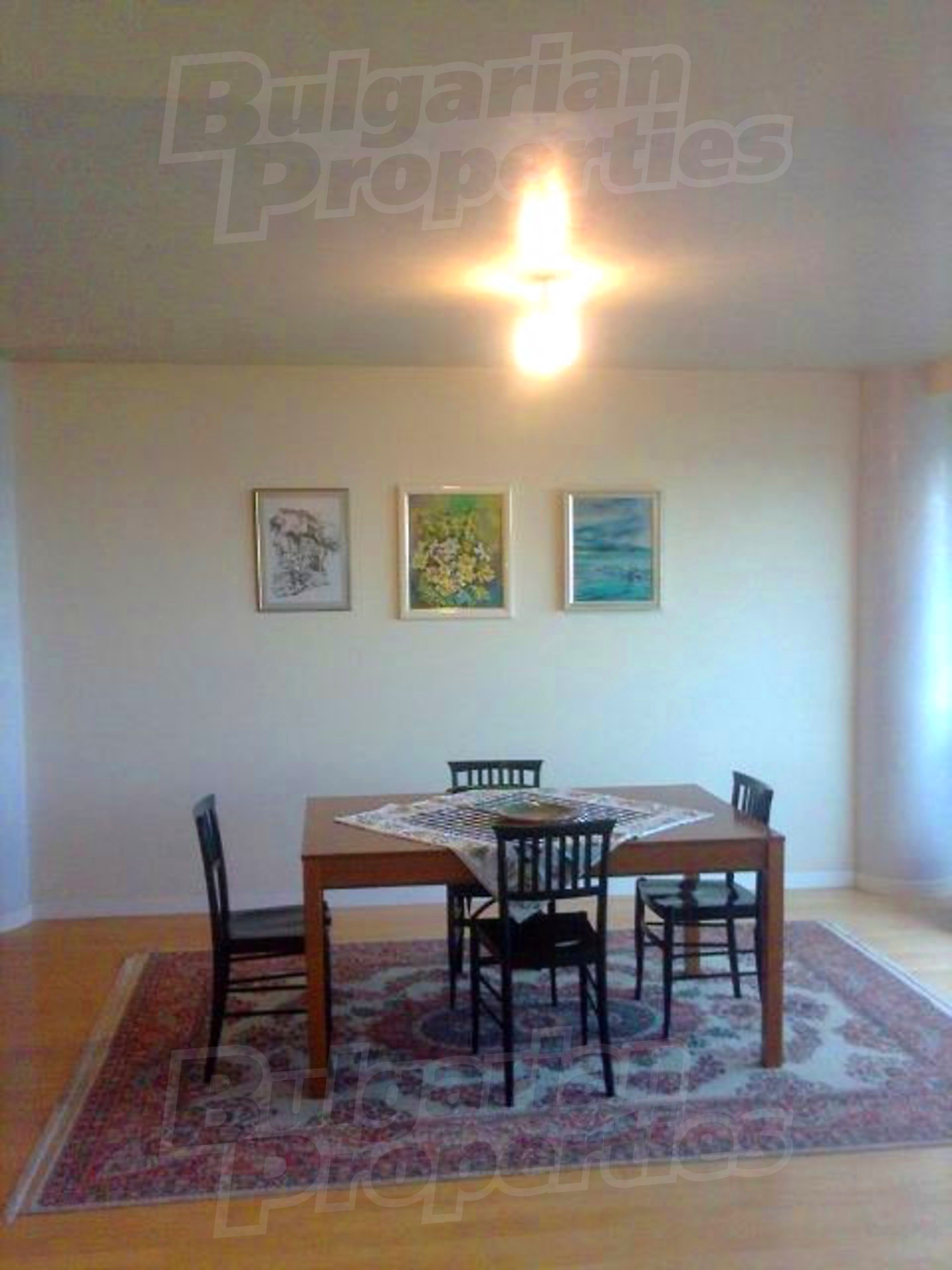 Gallery Picture 13