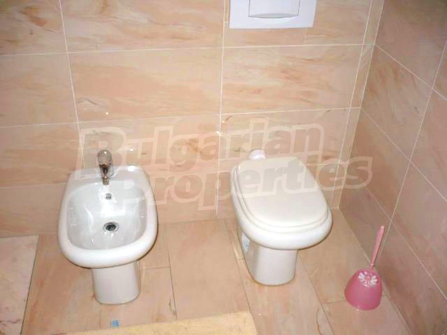 Gallery Picture 19