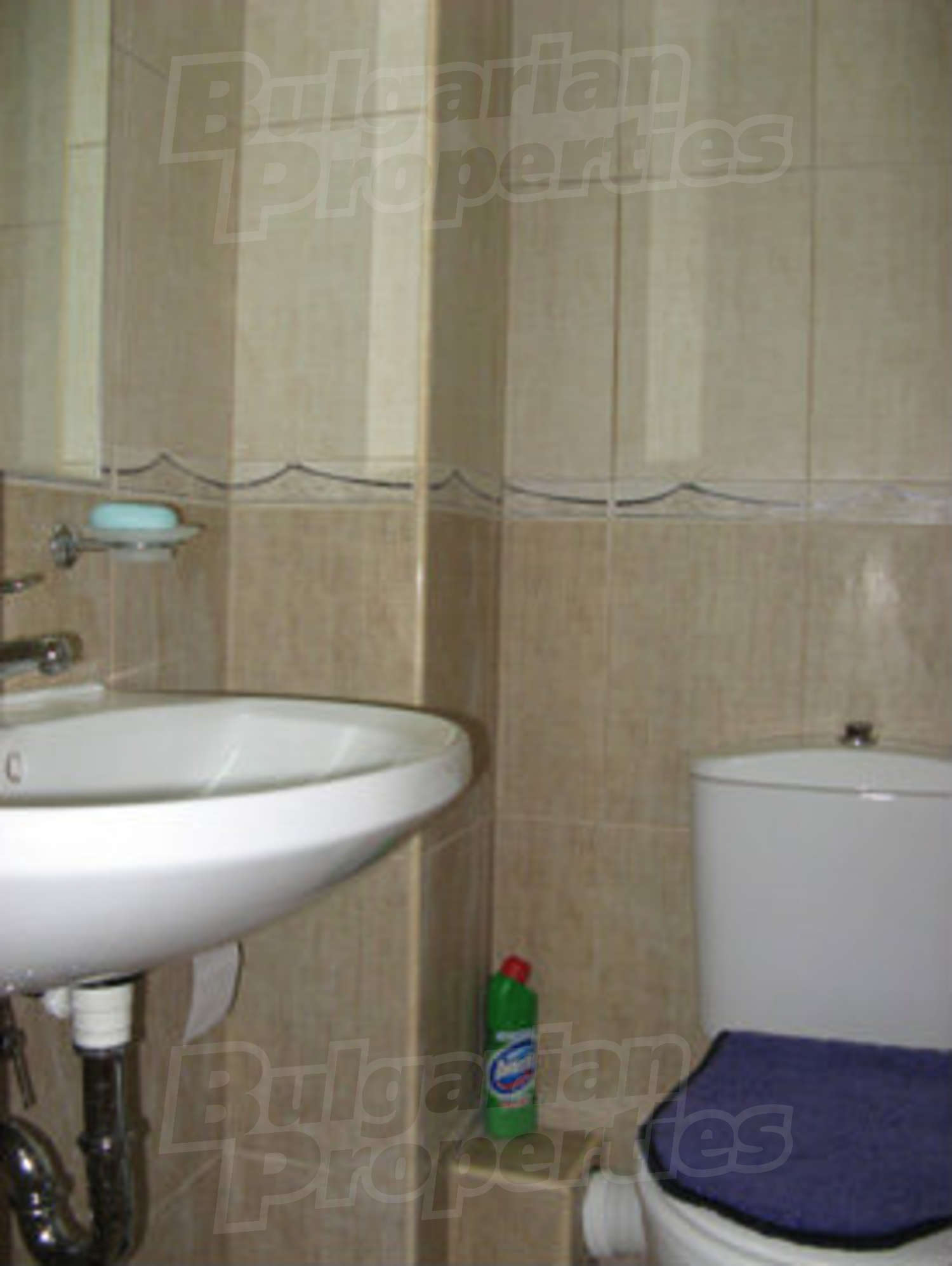 Gallery Picture 9