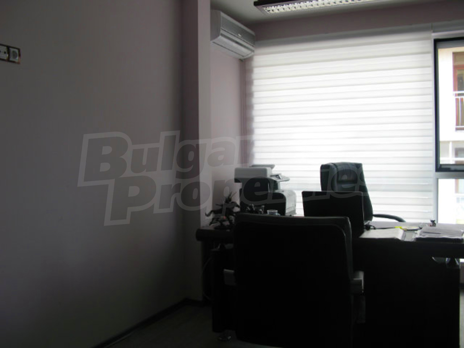 Gallery Picture 10
