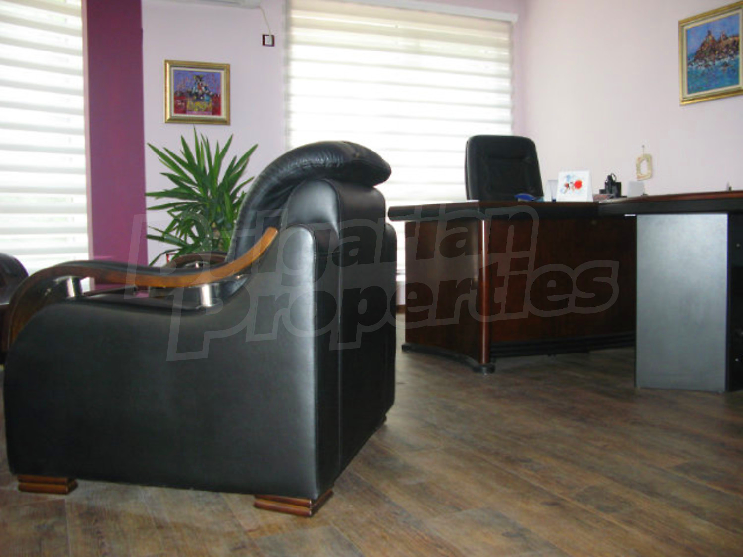 Gallery Picture 5