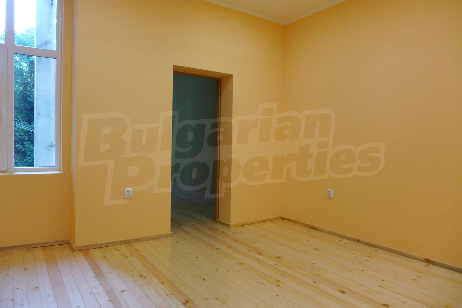 Gallery Picture 2