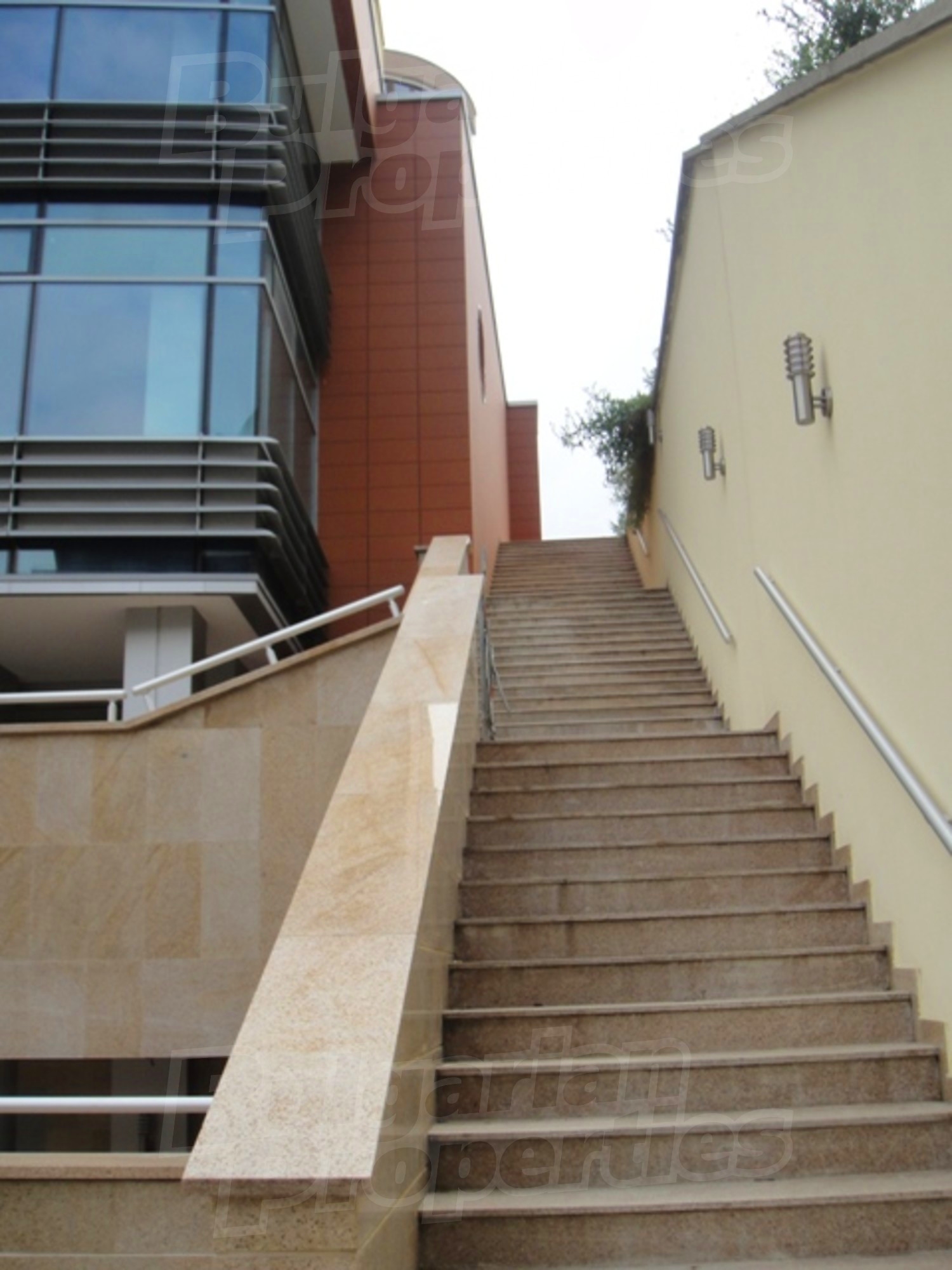 Gallery Picture 16