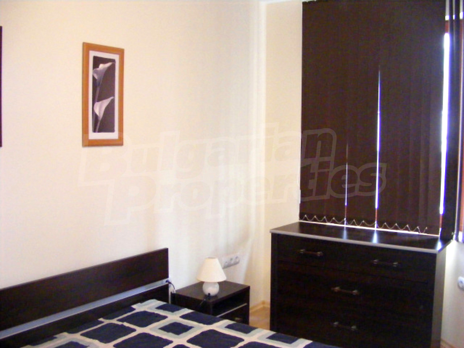 Gallery Picture 10