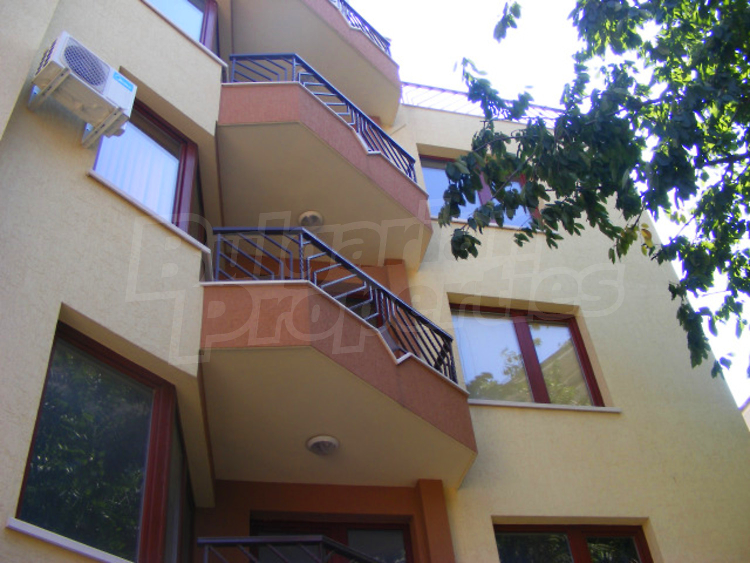 Gallery Picture 16