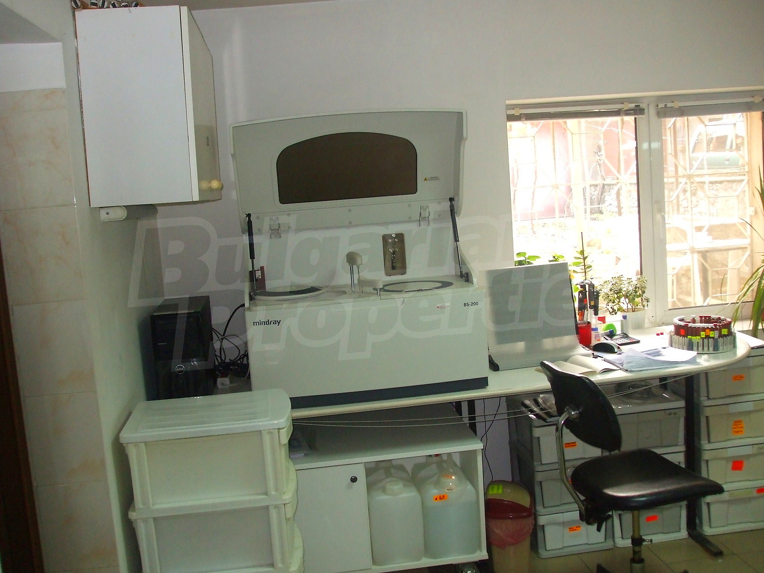 Gallery Picture 11