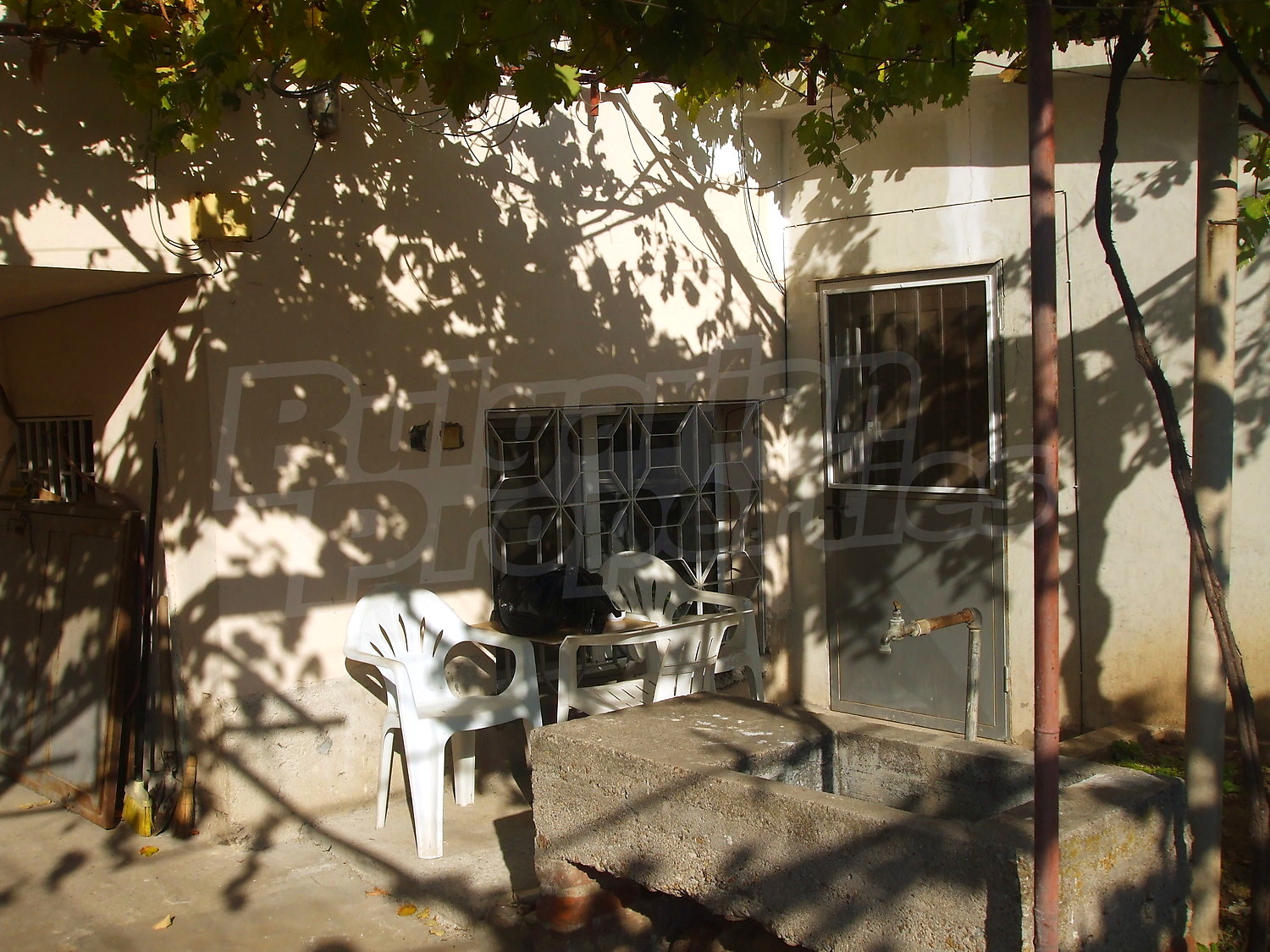 Gallery Picture 7