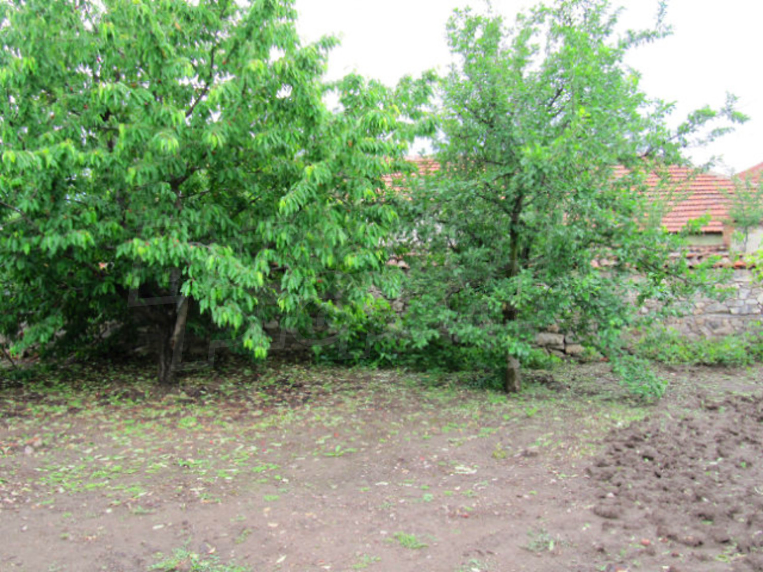 Gallery Picture 15