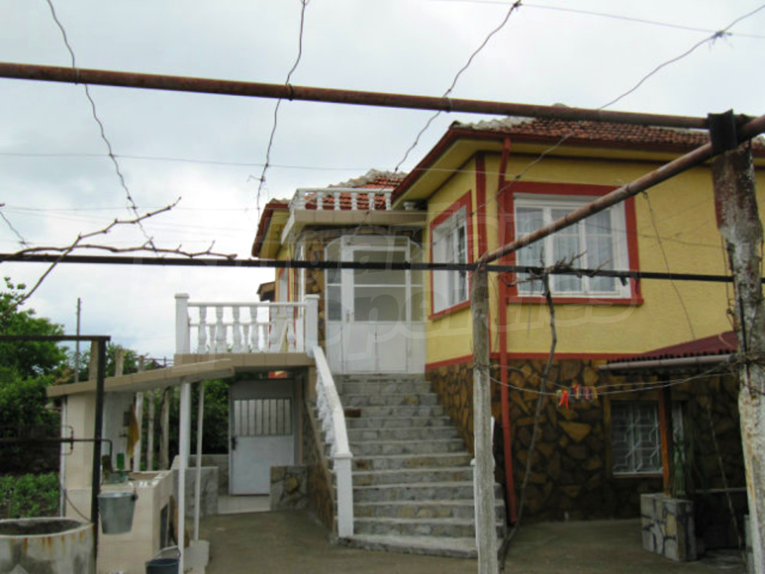 Gallery Picture 17