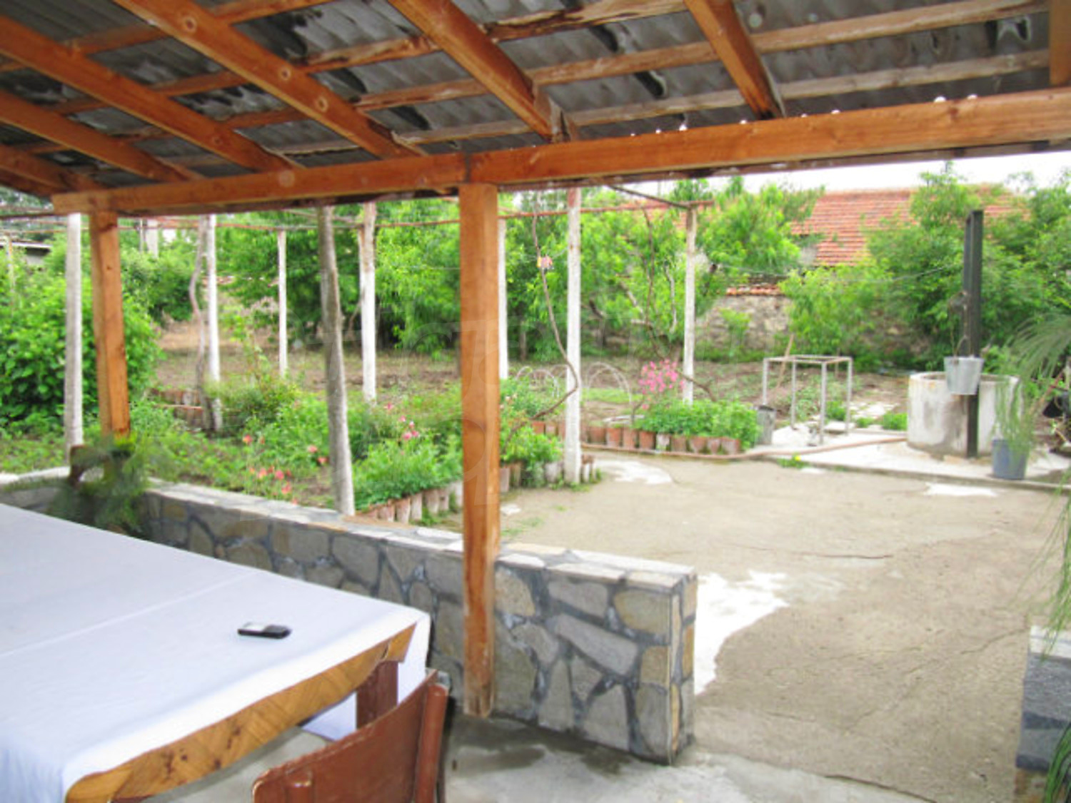 Gallery Picture 56