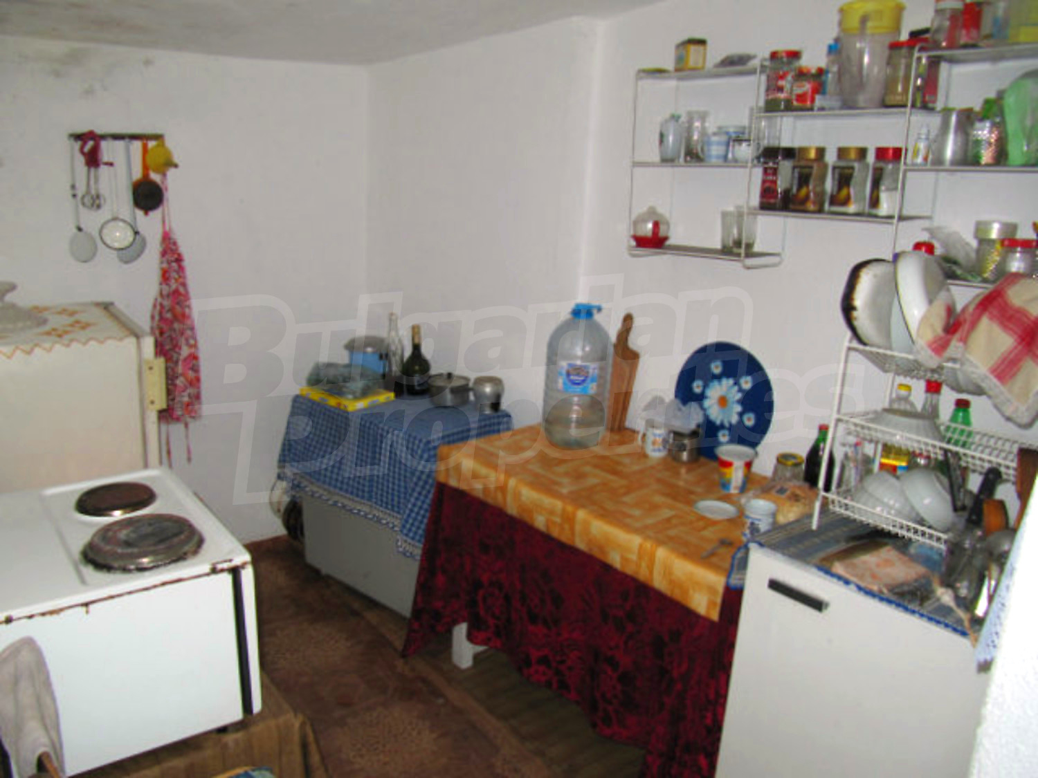 Gallery Picture 58