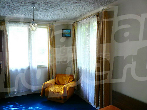 Gallery Picture 13